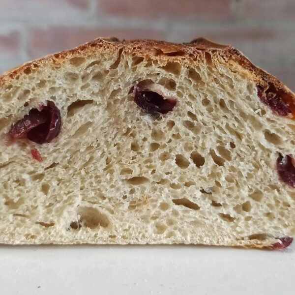Pan con Arándanos